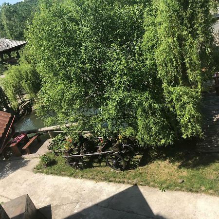 Pensiune Pastravarie La Pintea Haiducu Deseşti Extérieur photo