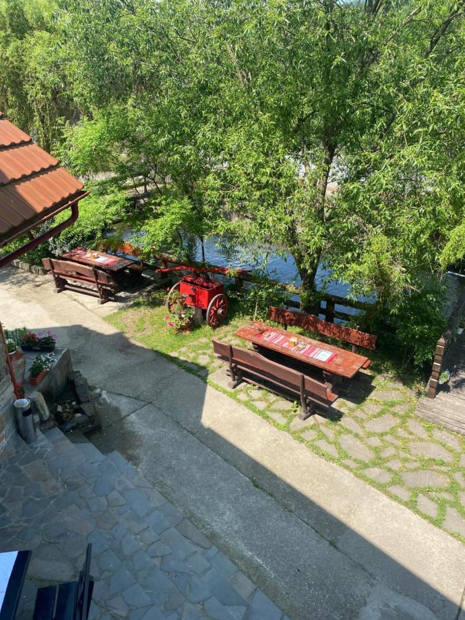 Pensiune Pastravarie La Pintea Haiducu Deseşti Extérieur photo