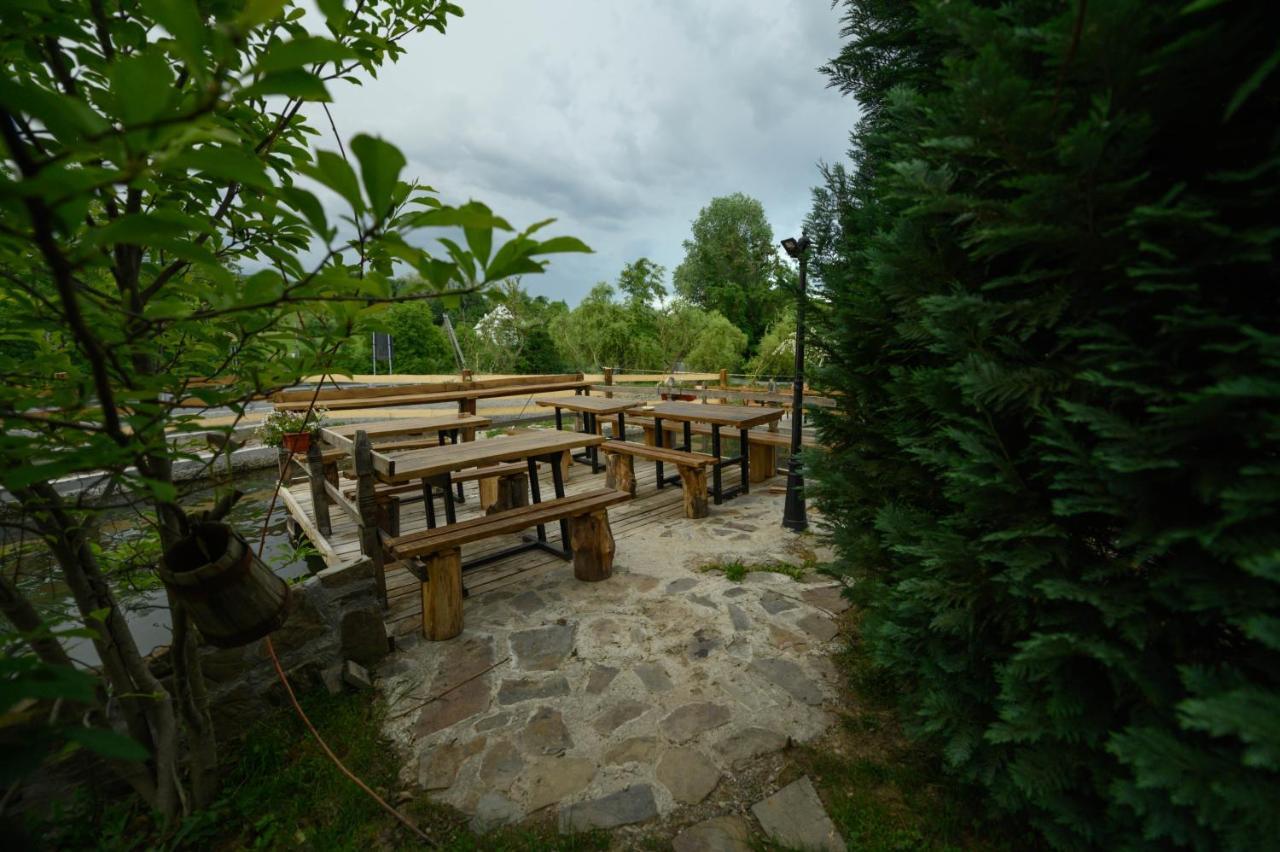 Pensiune Pastravarie La Pintea Haiducu Deseşti Extérieur photo