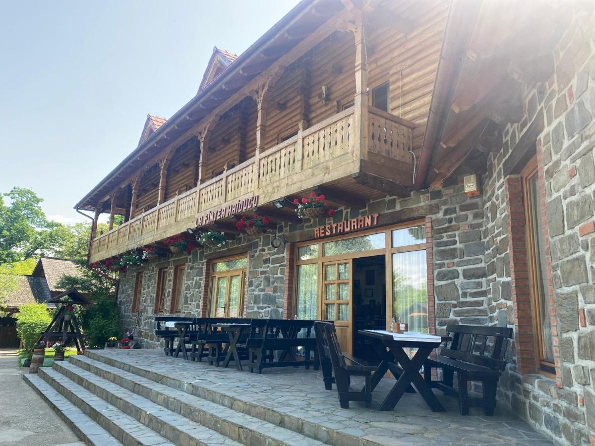 Pensiune Pastravarie La Pintea Haiducu Deseşti Extérieur photo