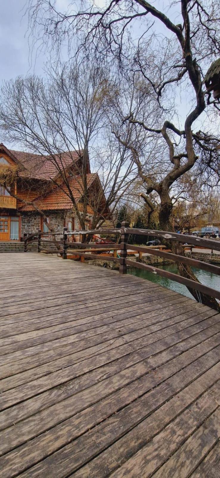 Pensiune Pastravarie La Pintea Haiducu Deseşti Extérieur photo