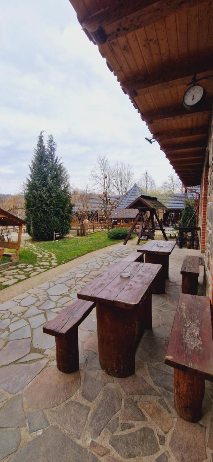Pensiune Pastravarie La Pintea Haiducu Deseşti Extérieur photo