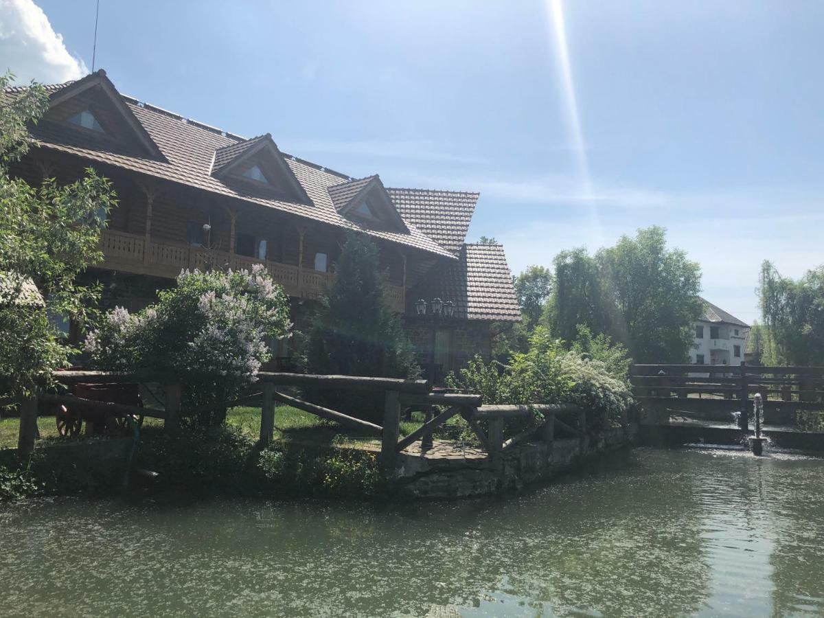 Pensiune Pastravarie La Pintea Haiducu Deseşti Extérieur photo