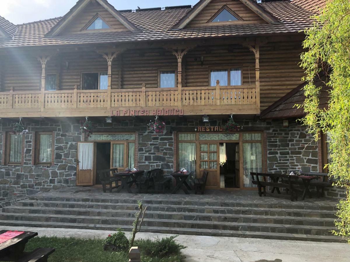 Pensiune Pastravarie La Pintea Haiducu Deseşti Extérieur photo