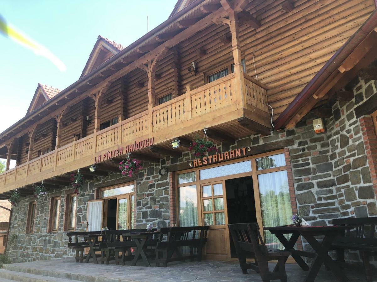 Pensiune Pastravarie La Pintea Haiducu Deseşti Extérieur photo